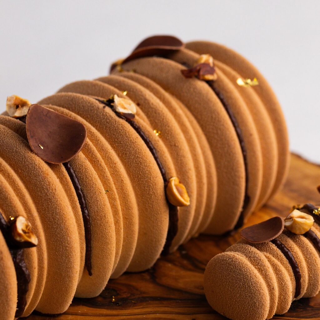 BUCHE NOISETTE CHOCOLAT PRALINÉ GLACÉ