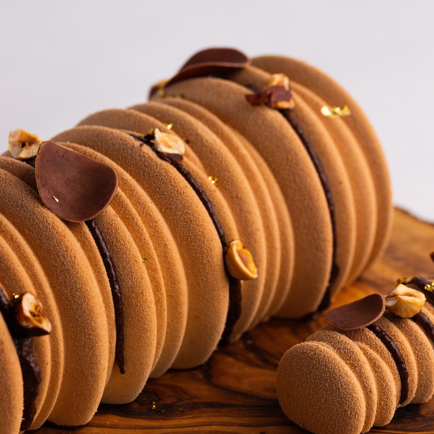 BUCHE NOISETTE CHOCOLAT PRALINÉ GLACÉ